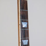 Orca ’59 Cherry Sunburst Brazilian Rosewood