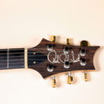 Paul’s Guitar Wood Library Artist Grade Red Tiger Top