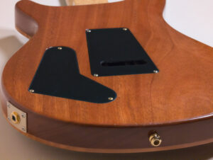 Paul’s Guitar Wood Library Artist Grade Red Tiger Top