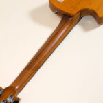 Forge Embrace Custom Brazilian Rosewood