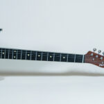 Custom Telecaster Lollar PUs Frankfurt Pickguard