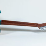 Custom Telecaster Lollar PUs Frankfurt Pickguard