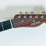 Custom Telecaster Lollar PUs Frankfurt Pickguard