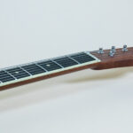 Custom Telecaster Lollar PUs Frankfurt Pickguard
